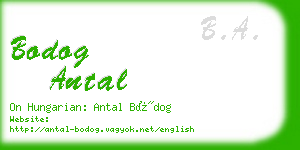 bodog antal business card